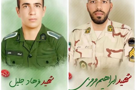 دکتر علیرضا منادی در پیامی شهادت نیروهای انتظامی صیانت آراء در جکیگور را تسلیت گفت